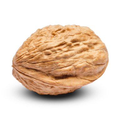 whole walnut isolated on white background. clipping path clipart