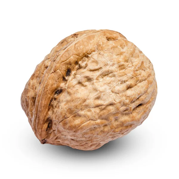 Whole walnut isolated on white background. clipping path — Stock Photo, Image