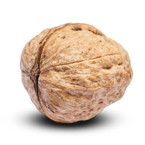 Whole walnut isolated on white background. clipping path — Stock Photo, Image