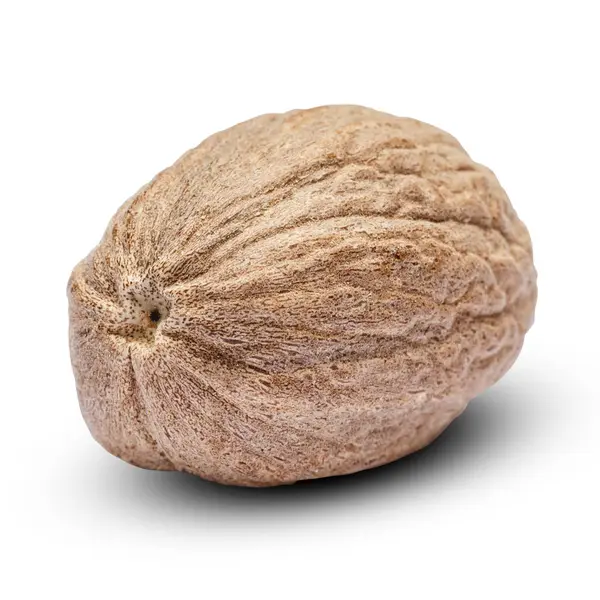 Nutmeg isolated on white background. Clipping path — Stock Photo, Image