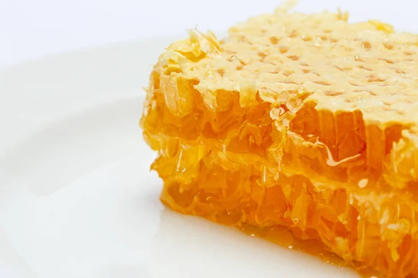 Favo con miele su piatto isolato sfondo bianco — Foto Stock