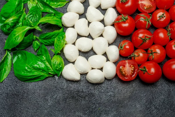 Italiensk flagga gjord av mozzarellaost, basilika och tomater. Capresesallad — Stockfoto