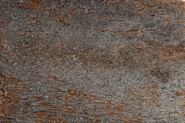 Zbliżenie tła i tekstury płyty korkowej powierzchni drewna — Zdjęcie stockowe