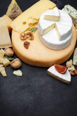 Various types of cheese - parmesan, brie, roquefort, cheddar clipart