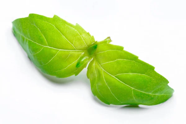 Studio shot of fresh green basil herb leaves on white background. Ruta de recorte —  Fotos de Stock