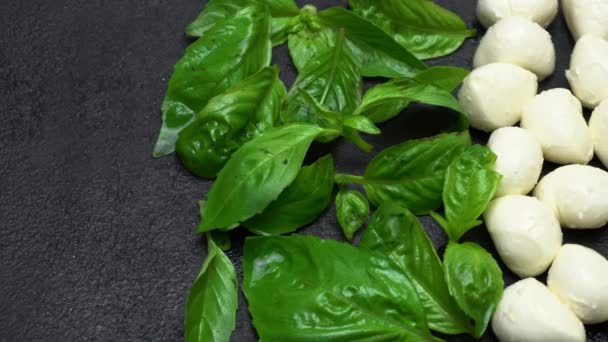 Ingredientes para ensalada caprese - Mozzarella, tomates, hojas de albahaca — Vídeo de stock