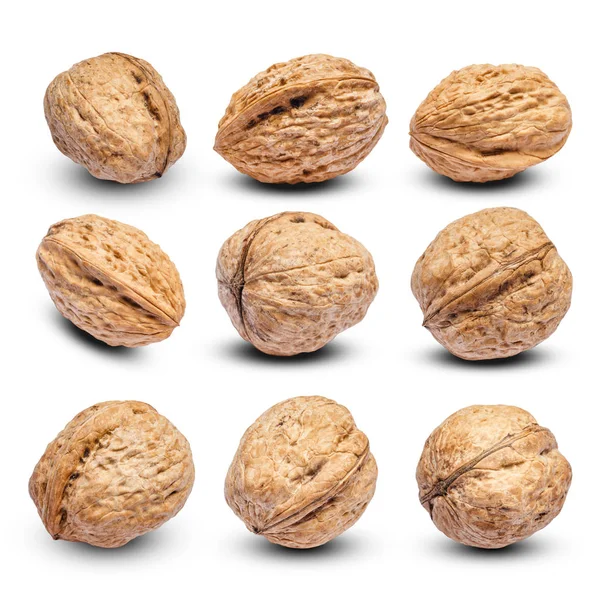 Set of Walnut nuts isolated on white — Stock Photo, Image