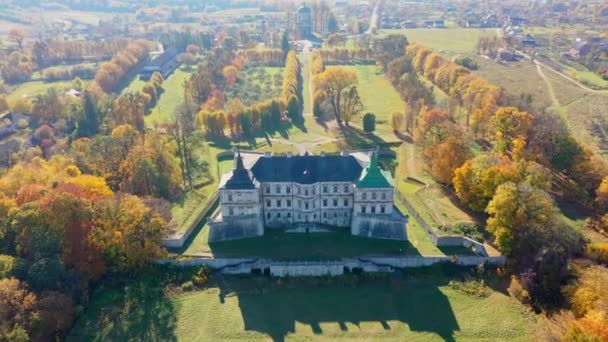 우크라이나 피디 히 르치에 있는 귀신들린 성의 공중 사진 — 비디오