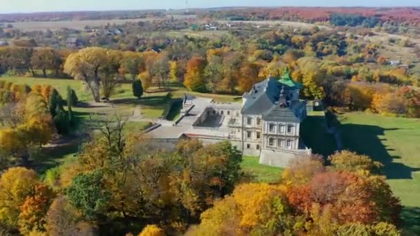우크라이나 피디 히 르치에 있는 귀신들린 성의 공중 사진 — 비디오