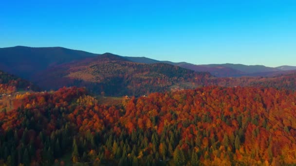 Aerial Drone video flying over Carpathians mountains, Ukraine, Europe — Stock Video