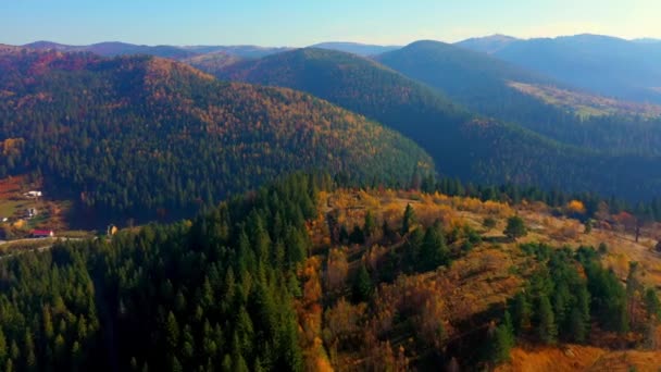 Εναέρια Drone βίντεο που φέρουν πάνω από τα βουνά Καρπάθια, Ουκρανία, Ευρώπη — Αρχείο Βίντεο