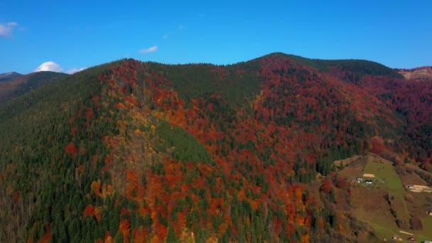 Drone aéreo de vídeo voando sobre montanhas dos Cárpatos, Ucrânia, Europa — Vídeo de Stock