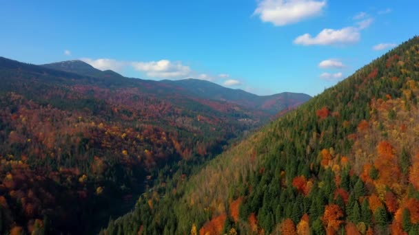 Εναέρια Drone βίντεο που φέρουν πάνω από τα βουνά Καρπάθια, Ουκρανία, Ευρώπη — Αρχείο Βίντεο