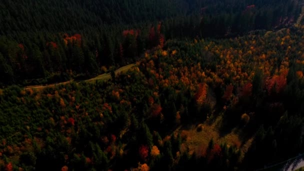 Aerial Drone video volando sobre las montañas Cárpatos, Ucrania, Europa — Vídeos de Stock