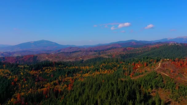 Aerial Drone video volando sobre las montañas Cárpatos, Ucrania, Europa — Vídeos de Stock