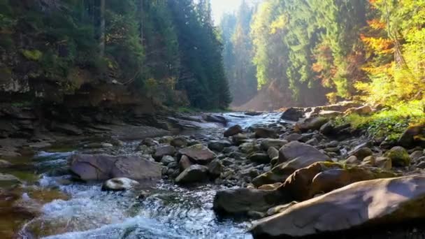 Gebirgsfluss fließt zwischen felsigen Ufern in den Karpaten, Ukraine — Stockvideo
