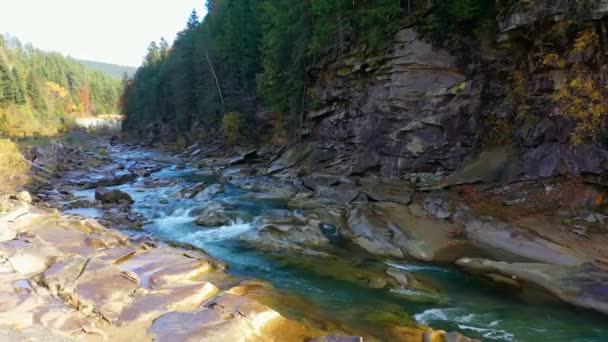 Río de montaña que fluye entre las costas rocosas en las montañas de los Cárpatos, Ucrania — Vídeos de Stock