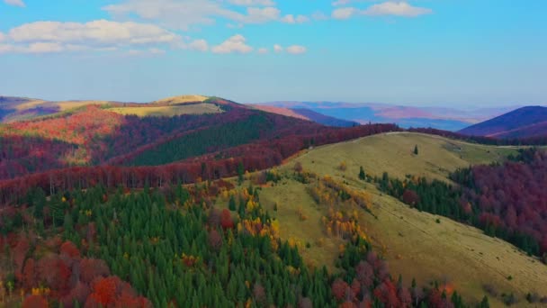 Aerial Drone video volando sobre las montañas Cárpatos, Ucrania, Europa — Vídeo de stock