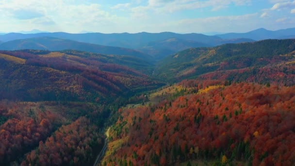 Aerial Drone video volando sobre las montañas Cárpatos, Ucrania, Europa — Vídeos de Stock