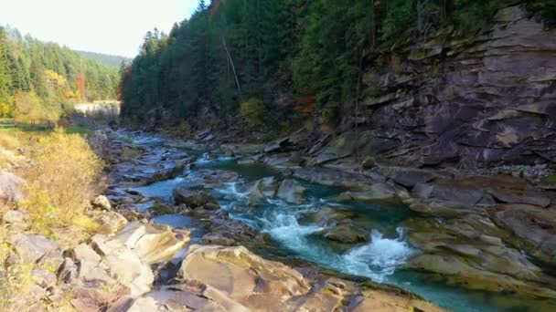 Fiume di montagna che scorre tra le coste rocciose nelle montagne dei Carpazi, Ucraina — Video Stock