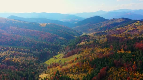 Aerial Drone video sorvolando le montagne dei Carpazi, Ucraina, Europa — Video Stock