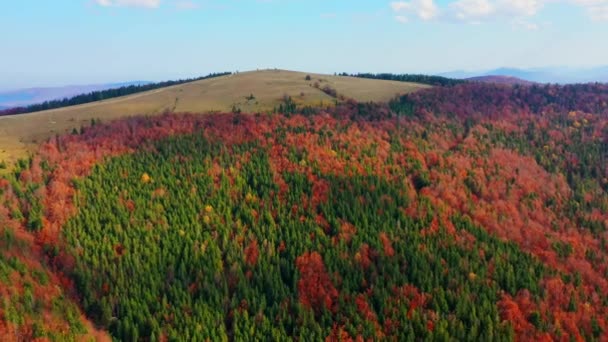 Aerial Drone video volando sobre las montañas Cárpatos, Ucrania, Europa — Vídeos de Stock