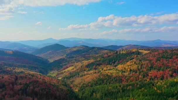 Aerial Drone video volando sobre las montañas Cárpatos, Ucrania, Europa — Vídeos de Stock