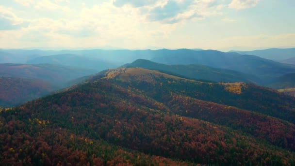 Aerial Drone video flying over Carpathians mountains, Ukraine, Europe — ストック動画