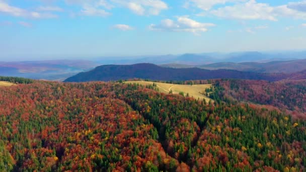 Aerial Drone video sorvolando le montagne dei Carpazi, Ucraina, Europa — Video Stock