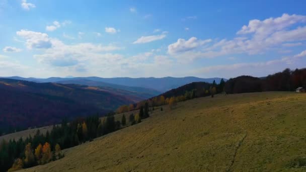 Aerial Drone video flying over Carpathians mountains, Ukraine, Europe — ストック動画