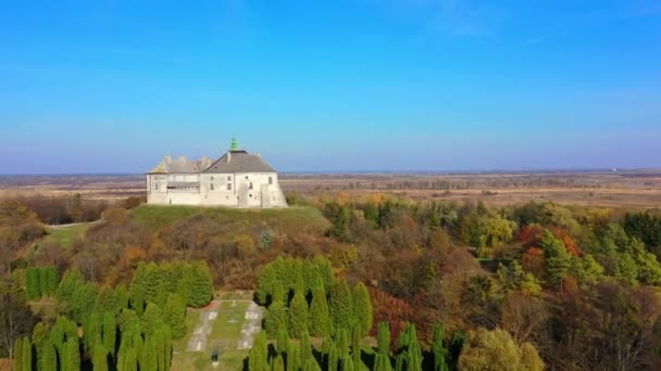 Вид з повітря на замок Олеско, Україна — стокове відео