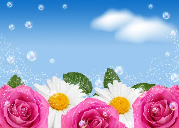 Roses with daisy and bubbles against the sky — Stock Photo, Image