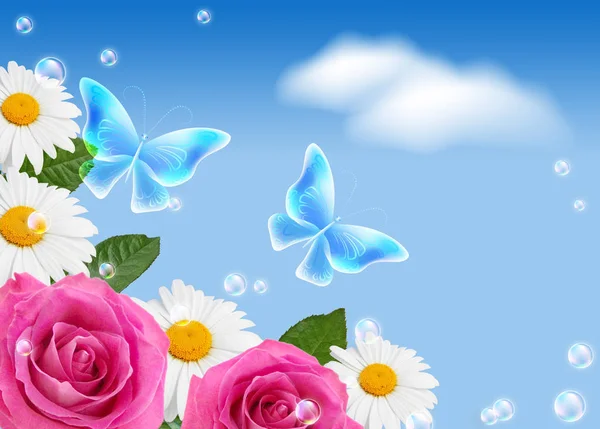 Roses with daisy and butterflies — Stock Photo, Image