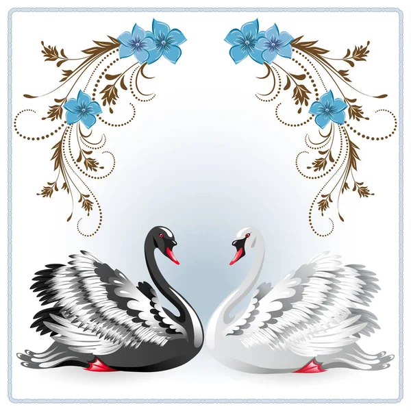 优雅的白色和黑天鹅 — 图库矢量图片