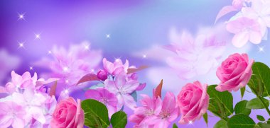 Gül ve kiraz çiçeği