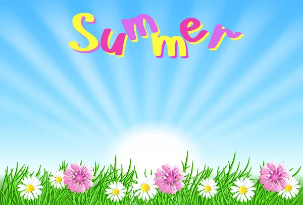 Paisaje de verano con rayos de sol en el cielo, flores del prado y gr — Vector de stock