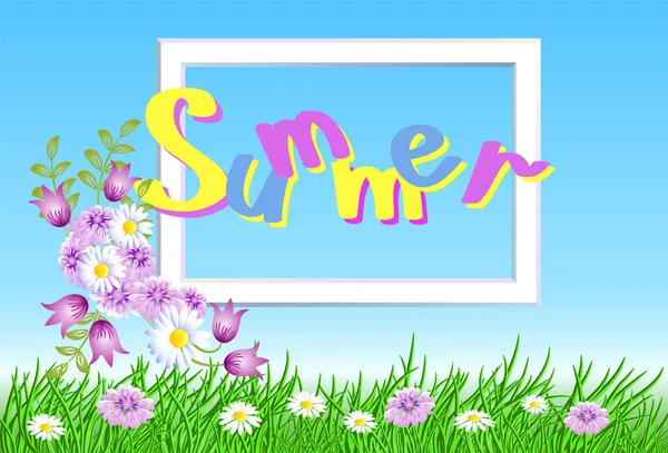 Gökyüzü, çayır çiçek ve yeşil çim beyaz çerçeveli, yaz yatay