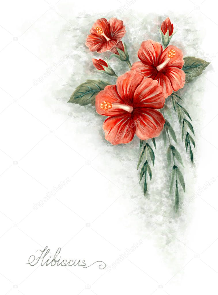 Hand drawn watercolor painting with Chinese Hibiscus rose flower