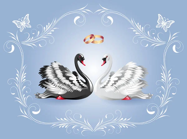 Cartão Decorativo Com Cisnes Pretos Brancos Ornamento Luxuoso Vintage Anéis — Vetor de Stock