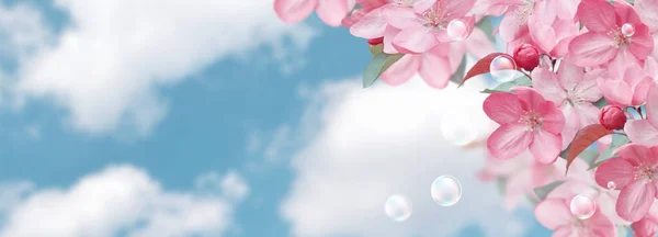 Удивительные Розовые Соцветия Мыльные Пузыри Фоне Облачного Неба — стоковое фото