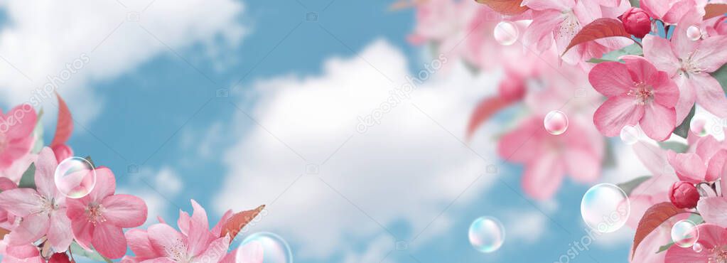 Amazing pink sakura flowers and soap bubbles against the clouds sky 