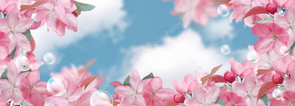Amazing pink sakura flowers and soap bubbles against the clouds sky 