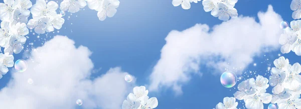 迷人的白樱桃花和肥皂泡沫映衬着云彩的天空 春天的横幅概念 清洁空气和生态环境 — 图库照片