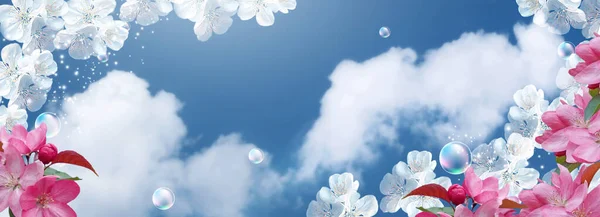迷人的白色樱桃 粉色的樱花和肥皂泡沫映衬着云彩的天空 春天的横幅概念 清洁空气和生态环境 — 图库照片