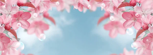 Amazing pink sakura flowers and soap bubbles against the clouds sky