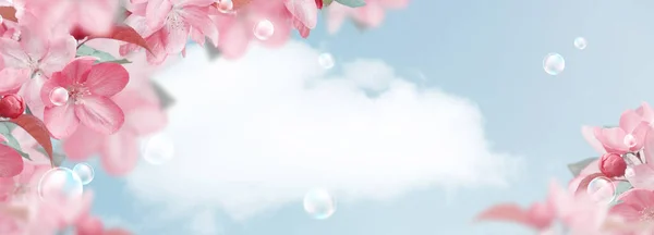 Increíbles Flores Sakura Rosa Burbujas Jabón Contra Cielo Nubes — Foto de Stock