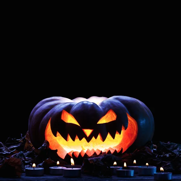 Calabaza de Halloween en la oscuridad — Foto de Stock