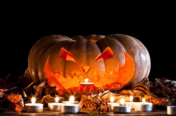 Halloween pompoen in het donker — Stockfoto