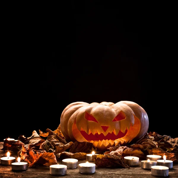 Halloween pompoen in het donker — Stockfoto