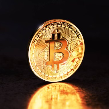 bitcoin altın sikke